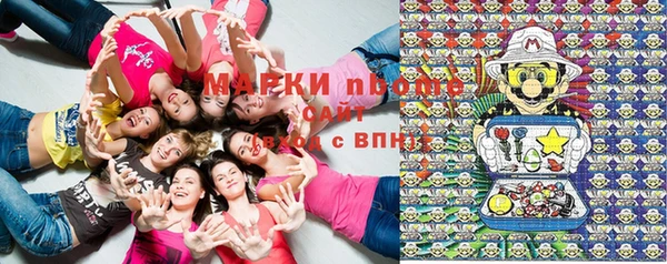 стаф Навашино